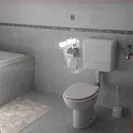 Korosec Matej *