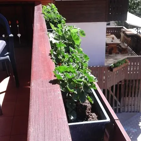 Korosec Matej Apartament Bohinj