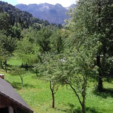 Korosec Matej Appartement