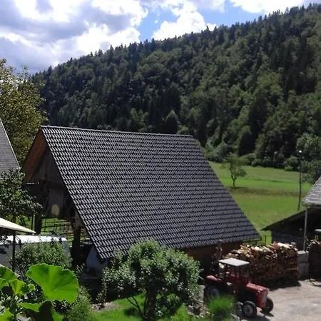 Apartamento Korosec Matej *