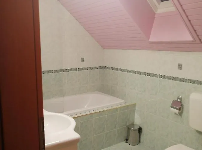 Korosec Matej 아파트 보히니