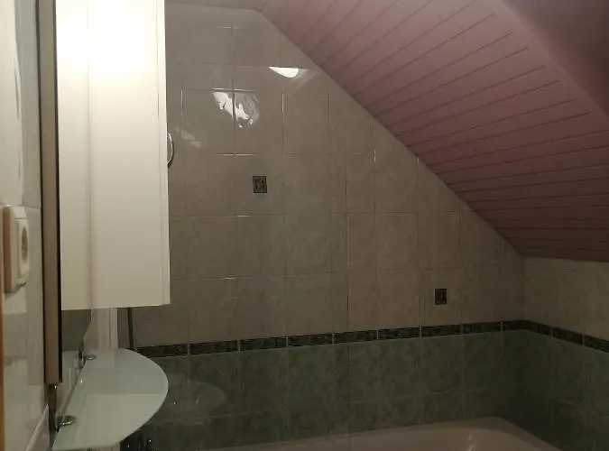 Korosec Matej 아파트 보히니