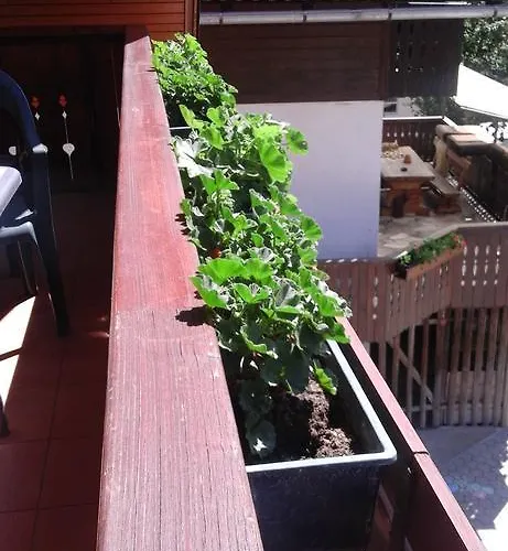 Korosec Matej 아파트 보히니