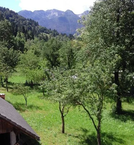 Korosec Matej 아파트