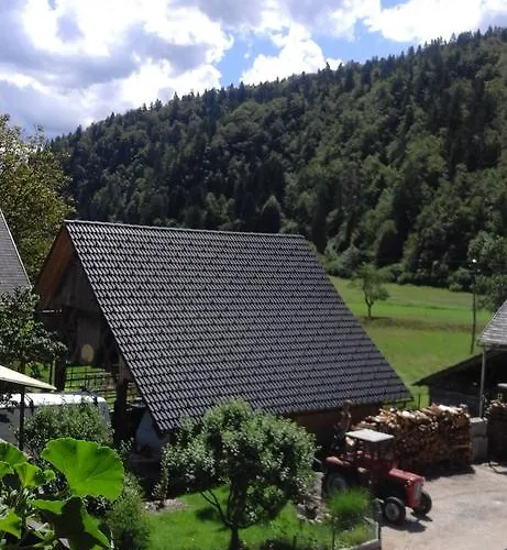 아파트 Korosec Matej *